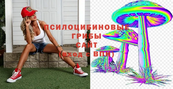 сатива Абаза