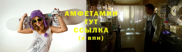 сатива Абаза