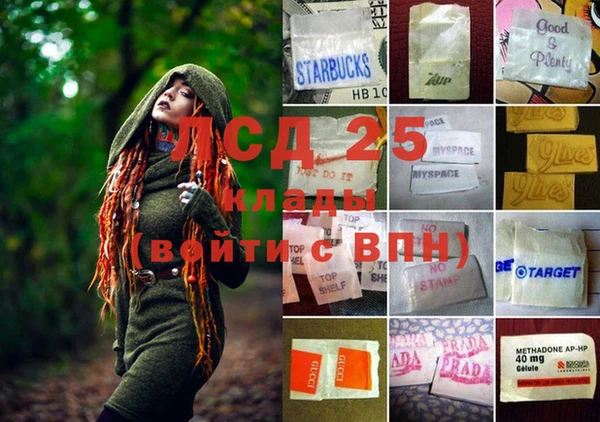 PSILOCYBIN Абинск