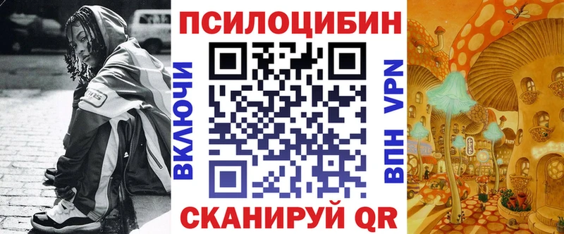Галлюциногенные грибы мицелий  цены   Хасавюрт 