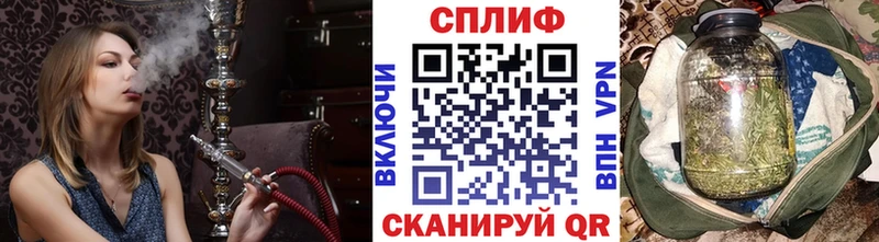Канабис семена  где продают   Хасавюрт 